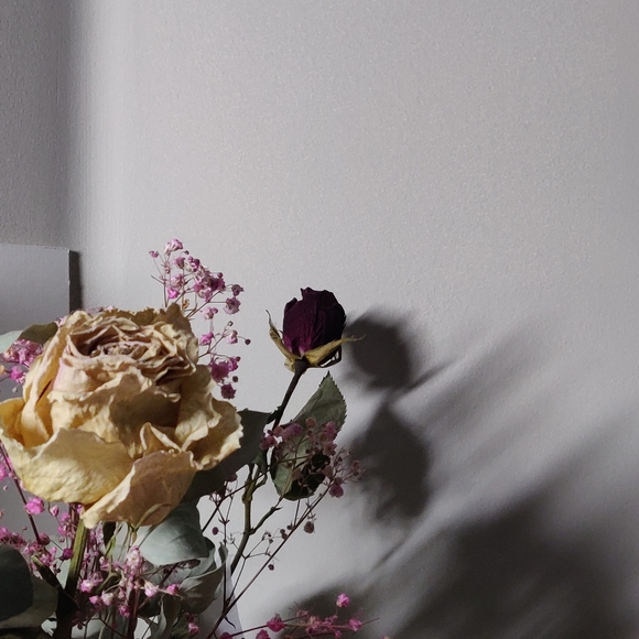 Meet your Posher. - Picture 1 of 1